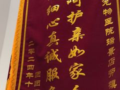 -瑞派康怡24h宠物医院·犬猫医疗中心·微创绝育(瑞景分院)