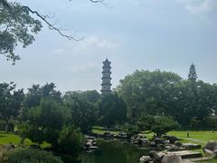 -江心屿景区