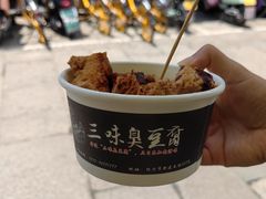 绍兴臭豆腐-三味臭豆腐(鲁迅故里店)