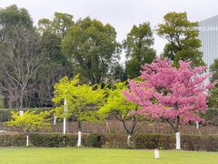 -大宁公园