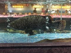-旺豪阳光超市(友谊阳光城店)