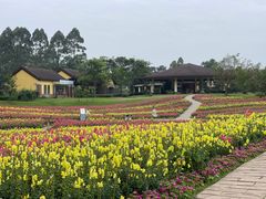 -保利石象湖景区