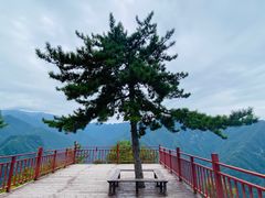 -陕西省红河谷森林公园