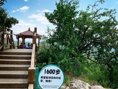 -大岭沟猕猴桃谷风景区