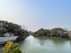 -八大山人梅湖景区