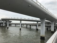 -演武大桥观景平台