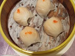 -宝燕壹号(徐汇店)