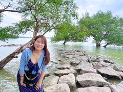 -宝安西湾红树林湿地公园