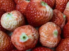 -YO!TEA有茶(科兴科学园店)