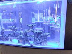 -上和臻品中国菜(花园街店)