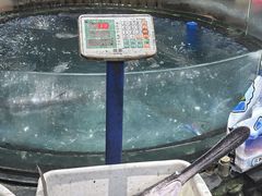 -渔乐里(智荟城店)