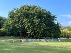 -三亚南山文化旅游区