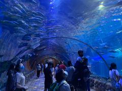 -华夏文旅海洋公园