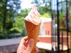 -三鹰之森吉卜力美术馆