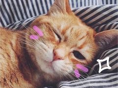 -昔木生日蛋糕(汉口店)