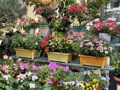 -山水茶艺馆·点心粤菜·30年老字号