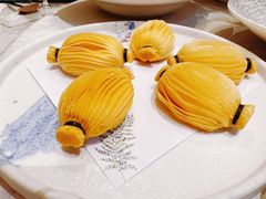 -金粤九号(李公堤店)