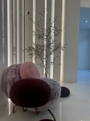 -丽妍雅集 Rubis SPA
