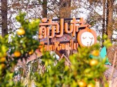 -前小桔亲子创意农场·草莓采摘·露营烧烤