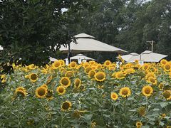 -中国天府农业博览园