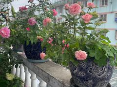 -又见炊烟私房菜(敬亭路店)