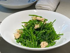 辣木苗鲜桃仁-悦融琥珀·京鲁菜·海味珍品(西单店)