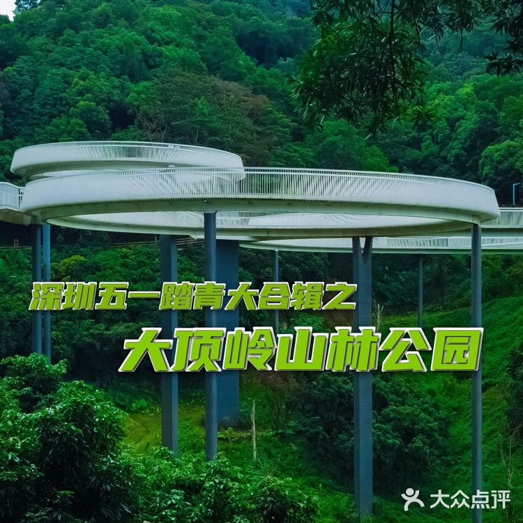 深圳游玩推荐|风景超美踏青十处好地方!!