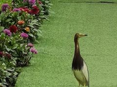 -洪湖家庭农场·团建·露营·会议