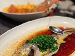 古法蒸大黄鱼-上海滩餐厅(BFC外滩金融中心店)