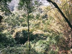 -大雁山风景区