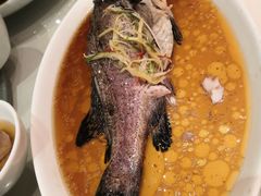 -老正兴菜馆(福州路店)