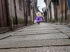-乌镇东栅景区