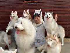 -TrueLove @ Neverland (Husky Cafe)