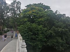 -珠海圆明新园