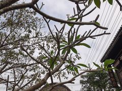 -观澜湖华谊冯小刚电影公社(百年记忆公社)