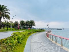 -深圳湾公园(南山区)