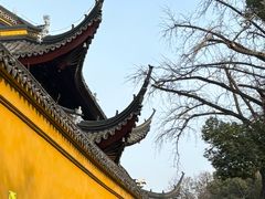 -西园戒幢律寺