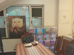 -猫小院猫主题餐厅(南锣旗舰店)
