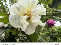 -贵阳市花溪国家城市湿地公园