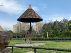 -南昌动物园