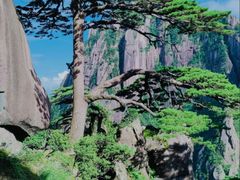 -黄山风景区