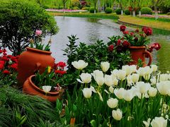 -上海鲜花港