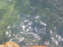 android_upload_pic-玫瑰海岸文化旅游度假区