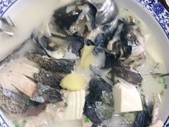 -全乐鱼馆·淳牌有机鱼直营店