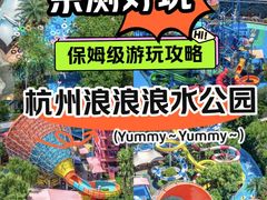 -杭州浪浪浪水公园