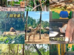 -广州长隆野生动物世界