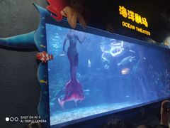 -郑州海洋馆