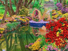 -上海共青森林公园