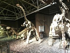 -世界恐龙谷景区