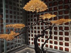 -莲花餐饮(高新店)